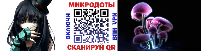 Галлюциногенные грибы прущие грибы  Галич 